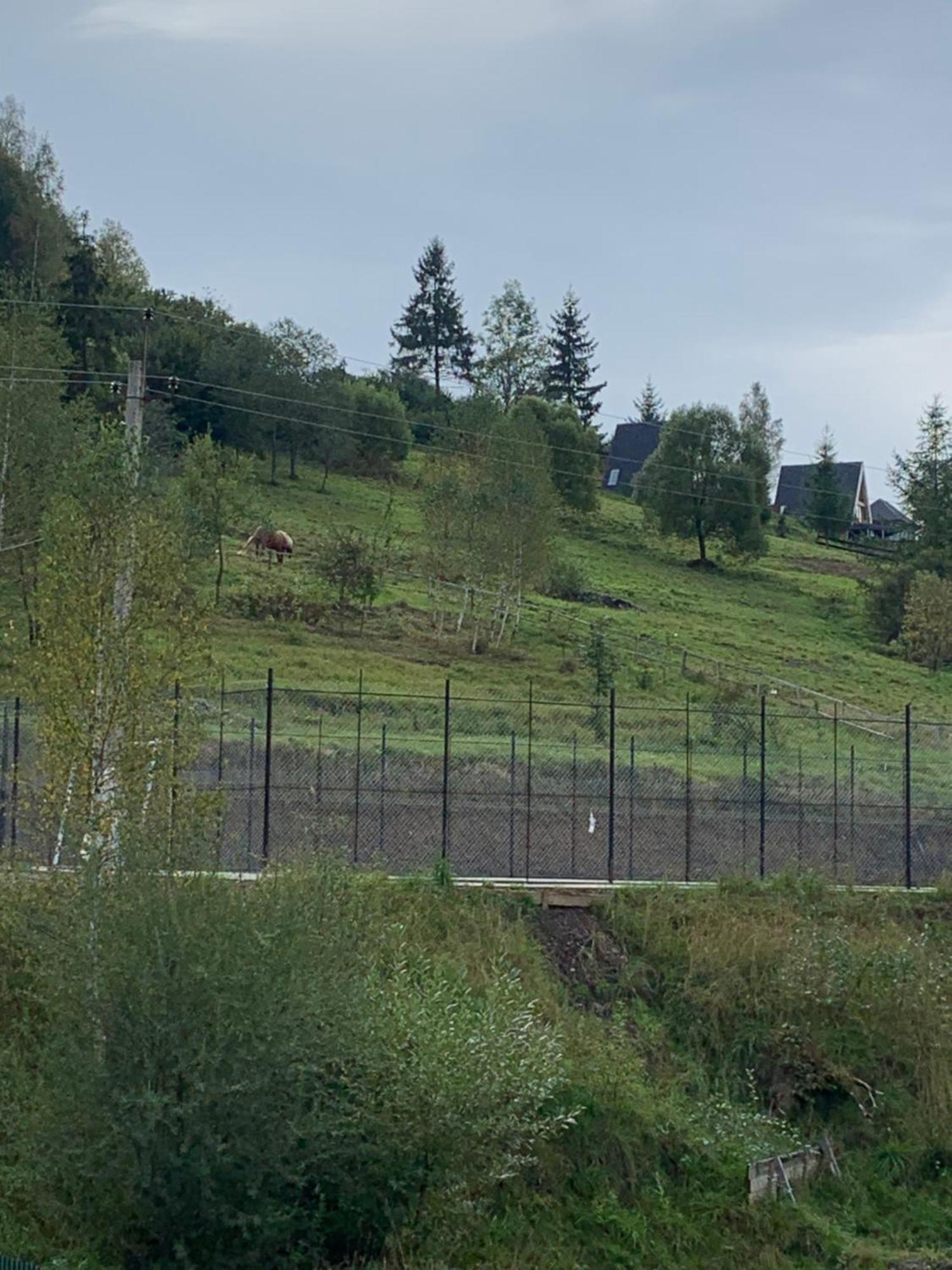 Villa Аура Карпат Slawske Exterior foto